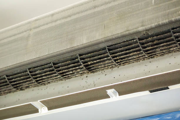 Best Air Duct Cleaning Near Me  in Gra Forks, ND